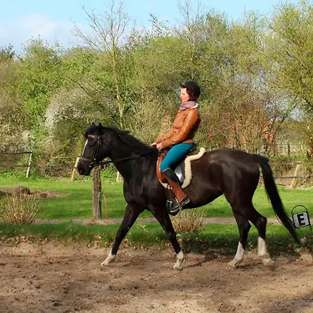 Hof Esterau - Gelb *