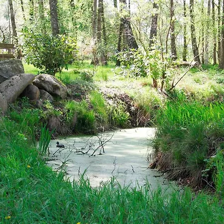 Hof Esterau - Gelb Heuerstorf