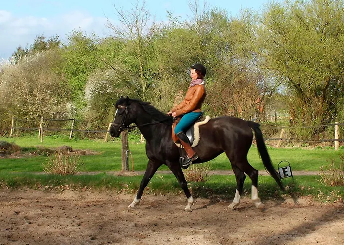 Hof Esterau - Gelb *