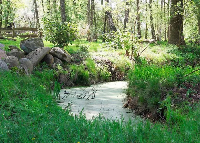 Hof Esterau - Gelb Heuerstorf